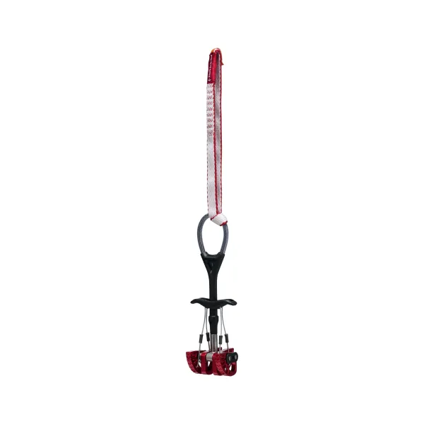 Black Diamond Camalot C4 Extendable Sling - 1